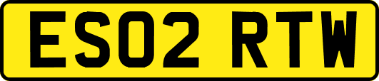 ES02RTW