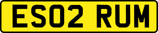 ES02RUM