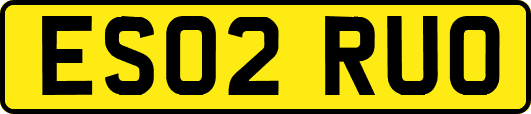 ES02RUO