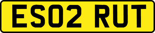 ES02RUT