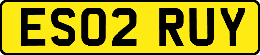ES02RUY