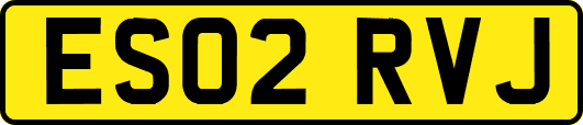 ES02RVJ