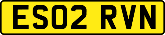 ES02RVN