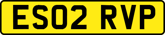 ES02RVP