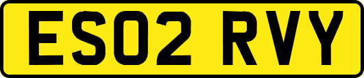 ES02RVY