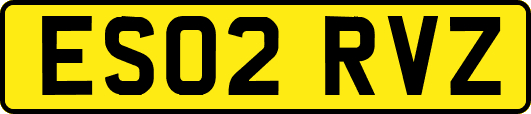 ES02RVZ
