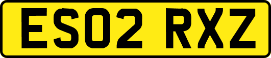 ES02RXZ