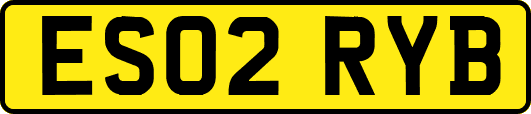 ES02RYB