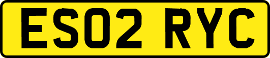 ES02RYC