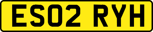 ES02RYH