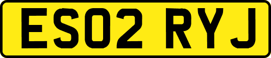 ES02RYJ