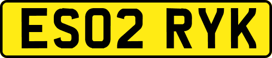 ES02RYK