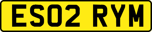 ES02RYM