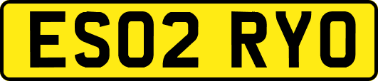 ES02RYO