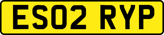 ES02RYP