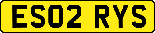 ES02RYS