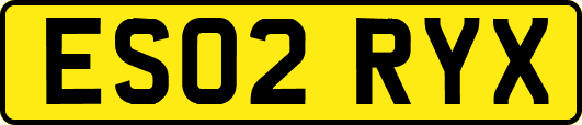 ES02RYX