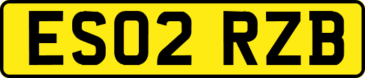 ES02RZB