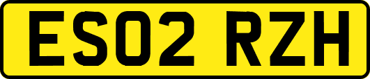 ES02RZH