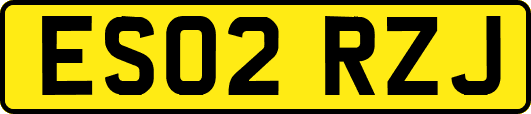 ES02RZJ
