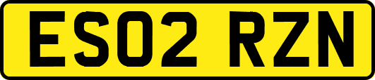 ES02RZN