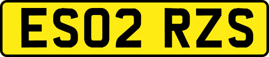ES02RZS