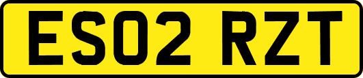 ES02RZT