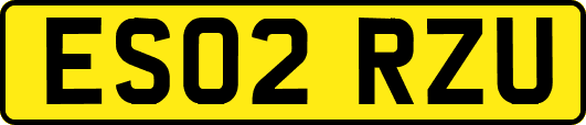 ES02RZU