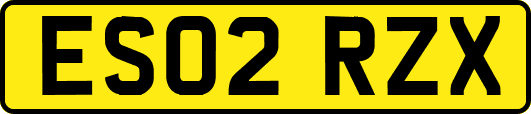 ES02RZX