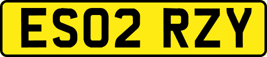ES02RZY