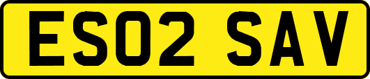 ES02SAV