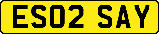 ES02SAY