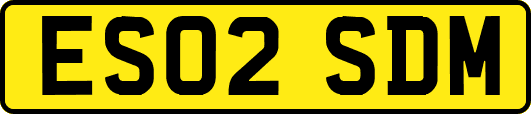 ES02SDM