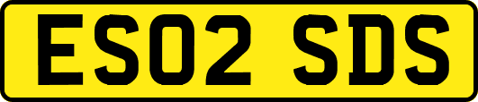 ES02SDS