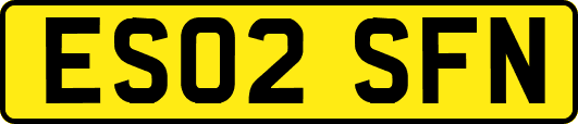 ES02SFN