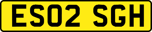 ES02SGH
