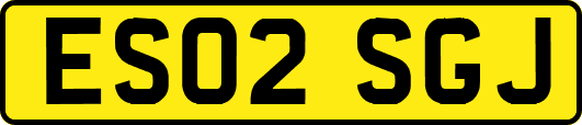 ES02SGJ