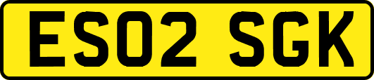 ES02SGK