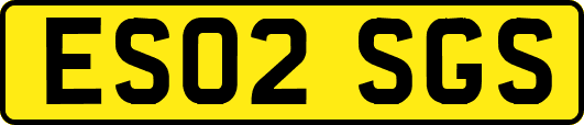 ES02SGS