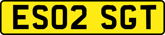 ES02SGT