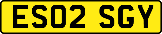 ES02SGY