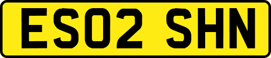 ES02SHN