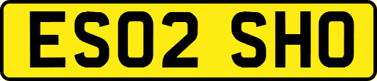 ES02SHO