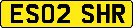 ES02SHR