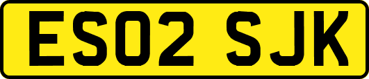 ES02SJK