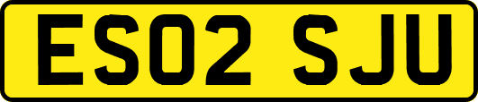 ES02SJU