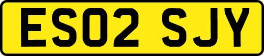 ES02SJY