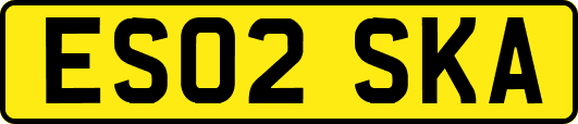 ES02SKA