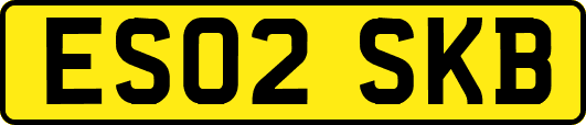 ES02SKB
