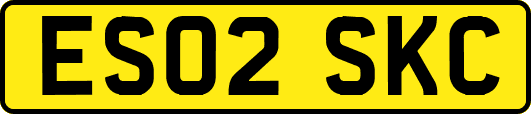 ES02SKC